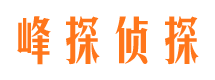 宁强市婚外情调查